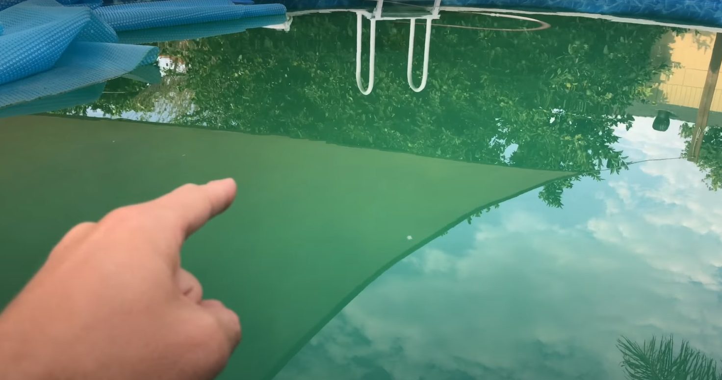 How to get rid of pool algae Fastly kill pool algae